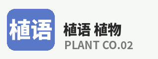 抖阴