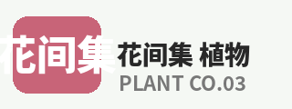抖阴