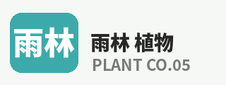抖阴
