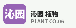 抖阴